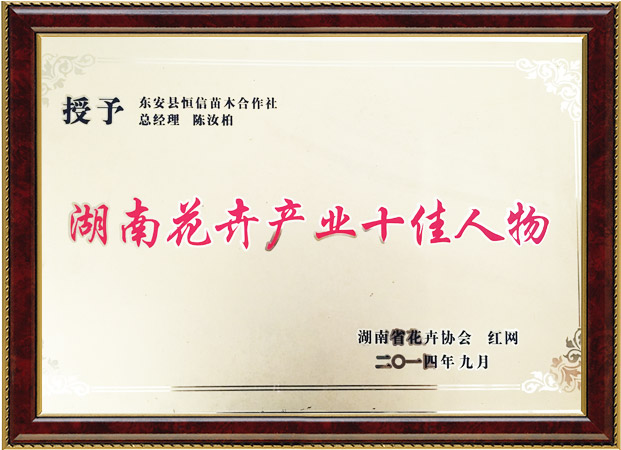 安東縣恒信苗木合作社,湖南永州紅豆杉,楨楠,金花茶,優(yōu)質(zhì)苗木,珍稀苗木,竹柏