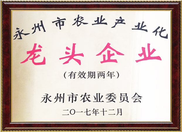 安東縣恒信苗木合作社,湖南永州紅豆杉,楨楠,金花茶,優(yōu)質(zhì)苗木,珍稀苗木,竹柏