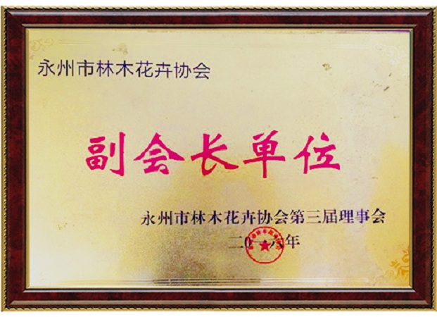 東安縣恒信苗木種植農(nóng)民專(zhuān)業(yè)合作社,湖南永州紅豆杉,楨楠,金花茶,優(yōu)質(zhì)苗木,珍稀苗木,竹柏